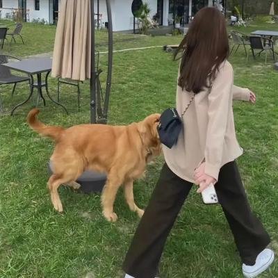 另一个天堂